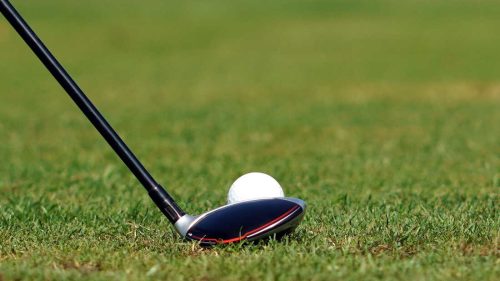 (1.5) Hour Virtual Golf